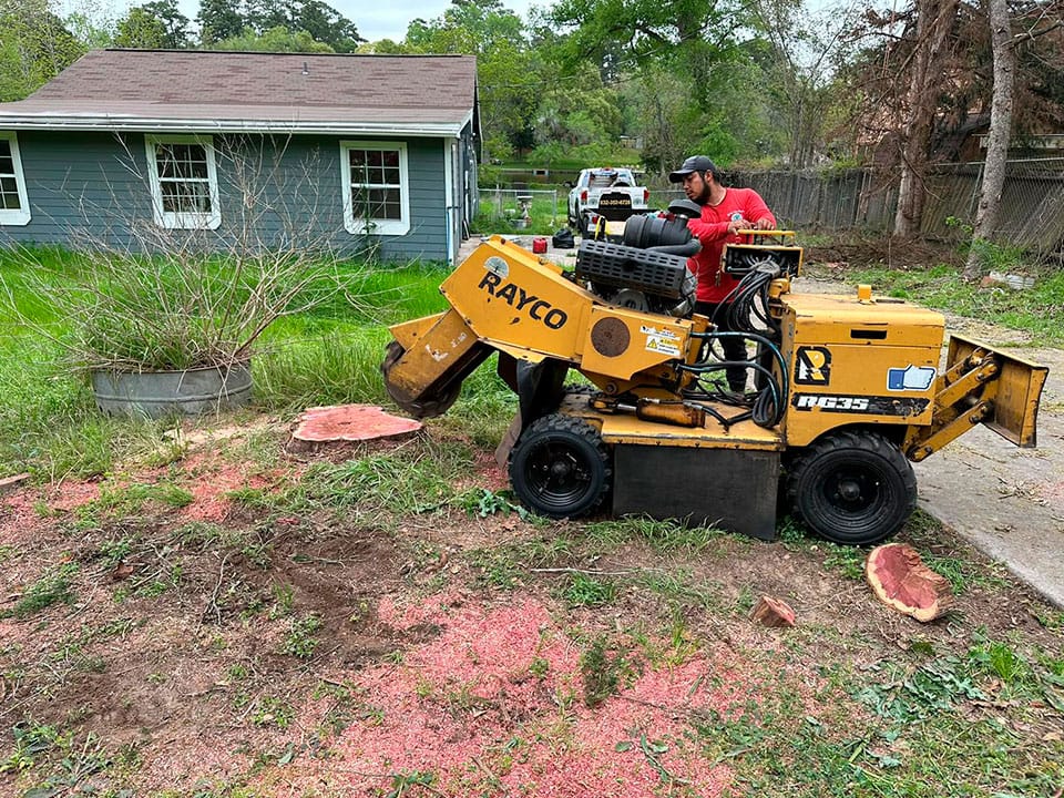 tree-stump-grinding